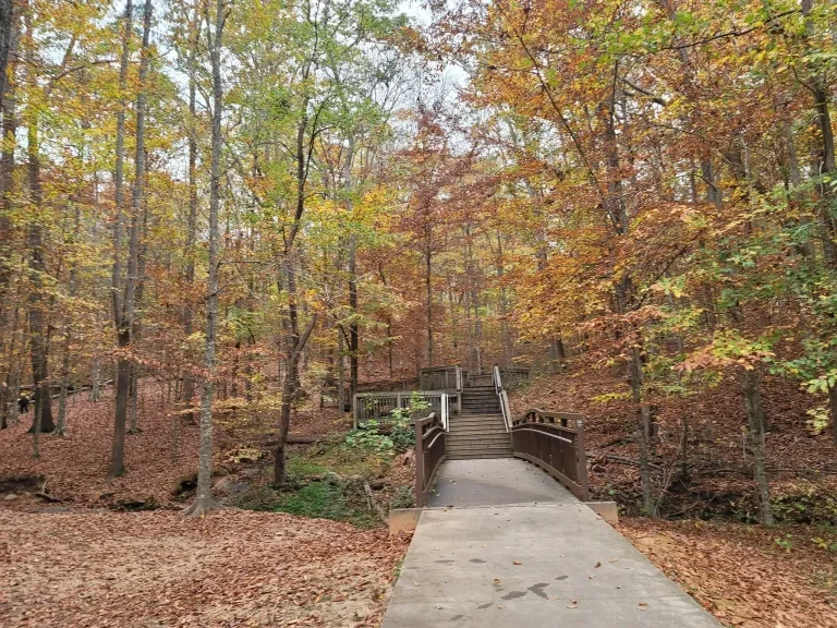 Paved woodland trail with autumn foliage in Holly Springs, Georgia