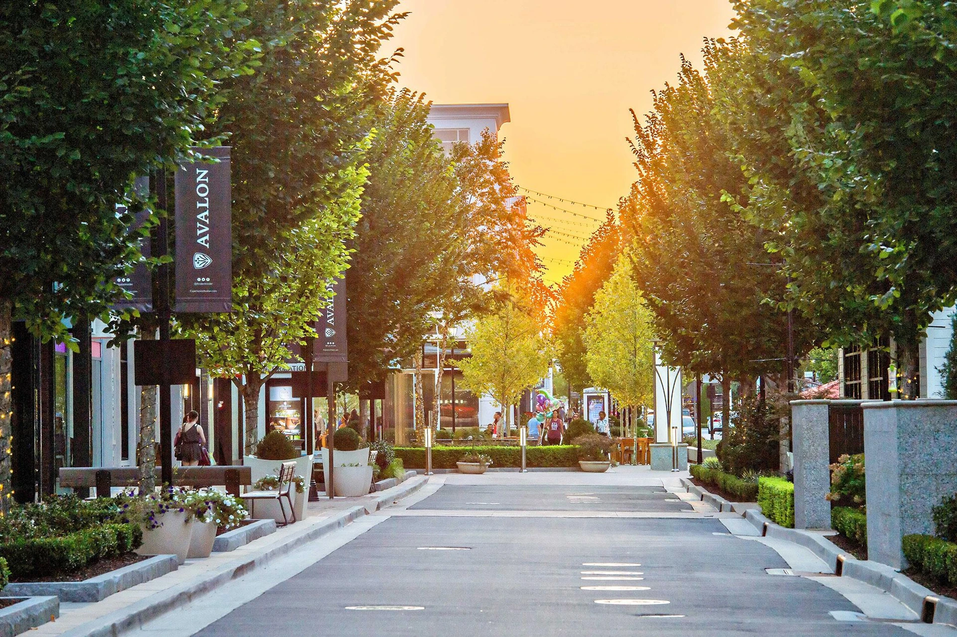 Tree-lined street and storefronts in Alpharetta, Georgia at sunset